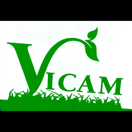 Vicam